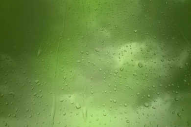 Linux Mint, Theme, 2560x1600 HD Wallpapers And FREE Stock Photo