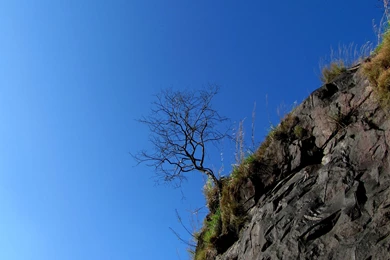 Linux Mint Wallpapers 3648x2048 1