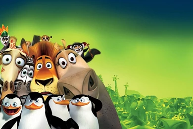Free Full HD Wallpapers Hd Wallpapers Madagascar Is One Of Our ...