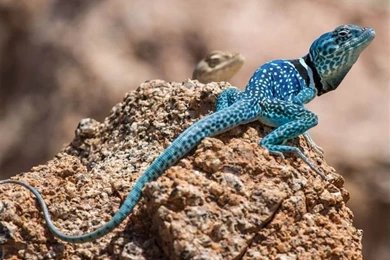 National Geographic Photography HD Wallpapers Wallpapers List ...