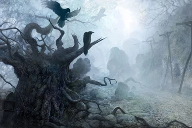 Fantasy Hd Wallpapers   HD Wallpapers Pretty