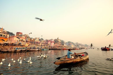 Pic New Posts: National Geographic Desktop Wallpapers 2012