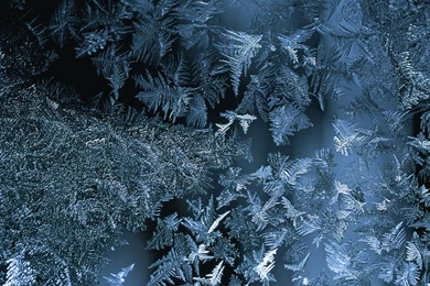 15984) National Geographic HD Desktop Backgrounds Wallpapers ...