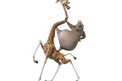 Madagascar Movie Cartoon Wallpapers Free Downlo