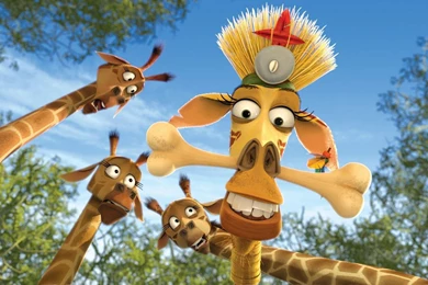 Madagascar Wallpapers   Wallpapers Cave