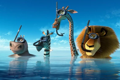 Madagascar Wallpapers
