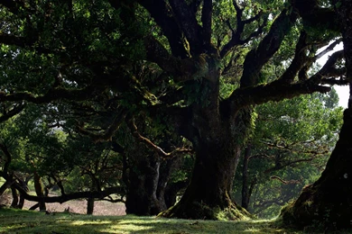 Nature Full HD Wallpapers   National Geographic Wallpapers (7822738 ...