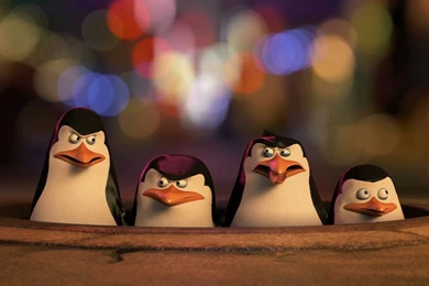 Penguins Of Madagascar HD Wallpapers ~ Toptenpack.com