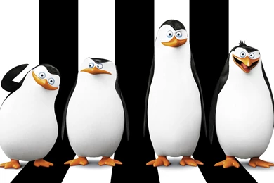 Penguins Of Madagascar Wallpapers