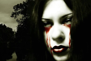 HD Wallpapers Free Stock: November 2012