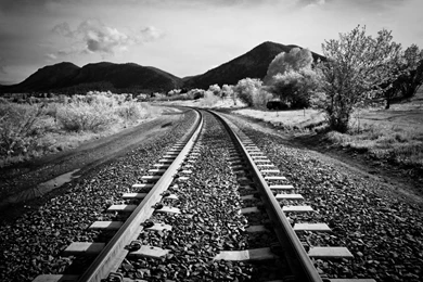 Best Black And White Wallpapers For Walls ~ Toptenpack.com