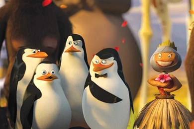 Wallpapers The Penguins Of Madagascar 3 Cartoons   1920 X 1080 ...