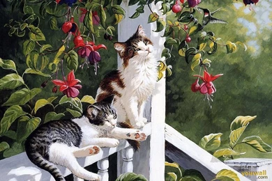 YouWall   Cats Wallpapers   Wallpaper,wallpapers,free Wallpapers ...