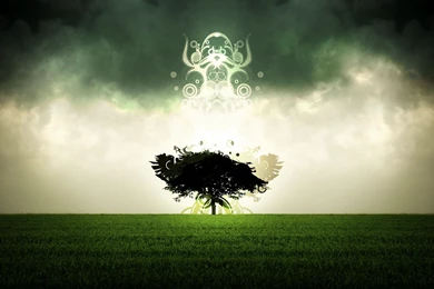 The Tree Spirit   2560x1600   WHQD 16/10 (Wide Quad High ...