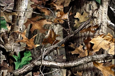 Realtree Camo Wallpapers For Room