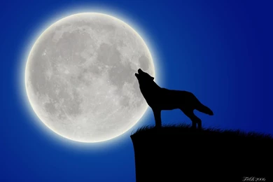 Wolf_and_Moon_by_bjar9.jpg