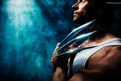 Wallpapers Best   Wallpapers HD Fine