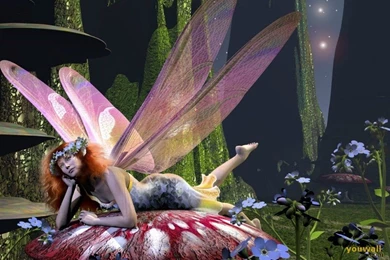 Fairy Wallpapers Free 19 Desktop Wallpapers   Hivewallpaper.com