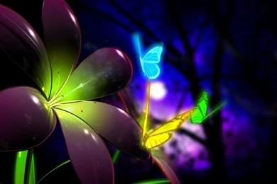 Free Wallpapers For Android W8D   Savewallpaper.com