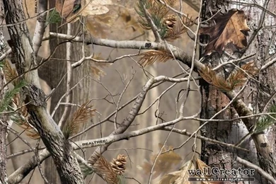 Realtree Camo Wallpapers