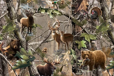 Deer Hunting Camo Wallpapers Displaying 19 Images For Deer Hunting ...