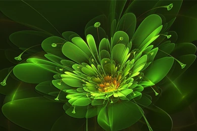 Green Abstract Fresh New Hd Wallpaper .jpg (1920×1200)