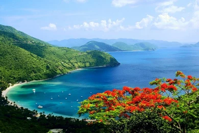 Moon Bay Nature Scene Wallpaper Backgrounds Picture 1024x768 Hd ...