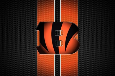 Bengals Wallpapers   Wallpapers Cave