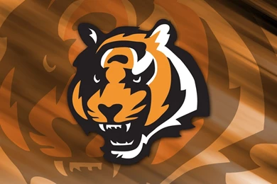 Cincinnati Bengals Desktop