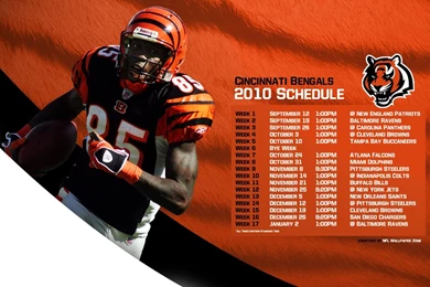 NFL Wallpapers Zone: Cincinnati Bengals 2010 Schedule Wallpapers ...