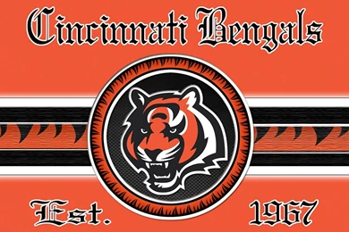 Cincinnati Bengals Full Orange 1440x960 Photo