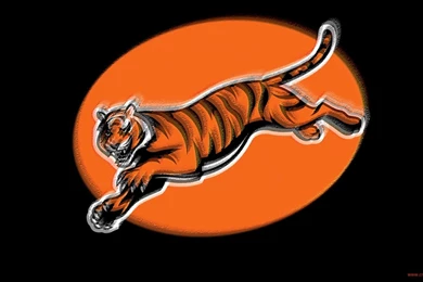 Free ★ Football Clipart: Graphics To Show Support Your Favorite ...