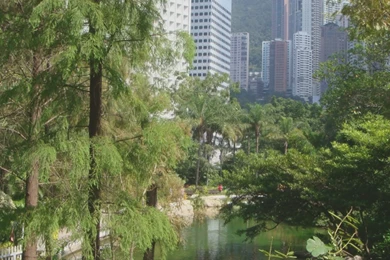 Urban Greenery Backgrounds Photo By Theophile490