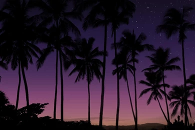Purple Sky Sunset >> HD Wallpaper, Get It Now!