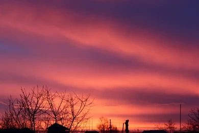 Purple Sky Wallpapers