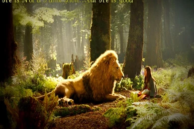 Aslan Quotes To Lucy 47880