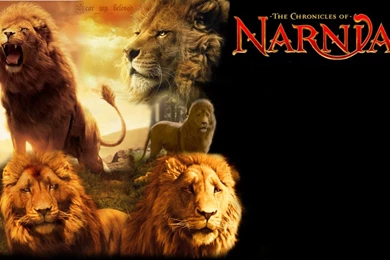 Aslan King Of Narnia By Witchwoodragon On DeviantArt