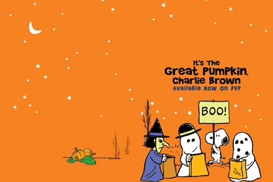 Charlie Brown Wallpapers   Wallpapers Cave