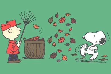 Best Websites For Free Thanksgiving Desktop Wallpapers