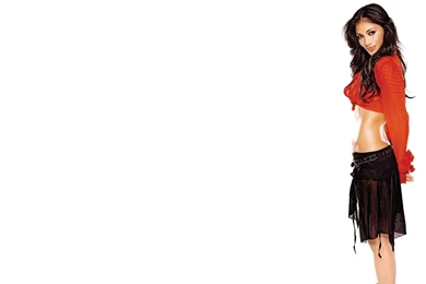 Nicole Scherzinger Wallpapers   Entertainment Only