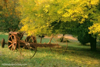 Nature Wallpapers For Mobile   Wallpapers HD Wide