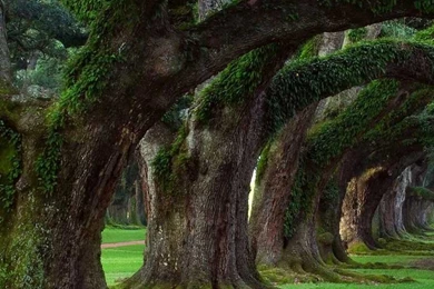 Nature Wallpapers Hd Download For Mobile_mobile Wallpaper_Hd ...