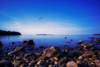 Macbook Pro Retina, Sky, Flying, Seagull, 1920x1200 HD Wallpapers ...