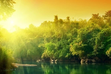 Nature Wallpapers ›› Hd Wallpapers For Mobile