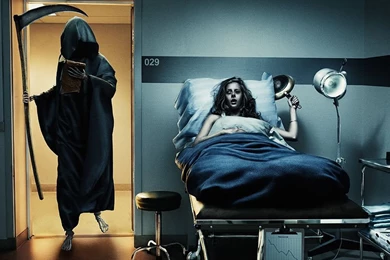 Funny Cool Wallpapers 2012 Download