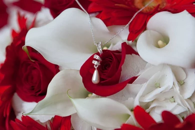 Necklace On Flowers Wallpapers   Photography Wallpapers