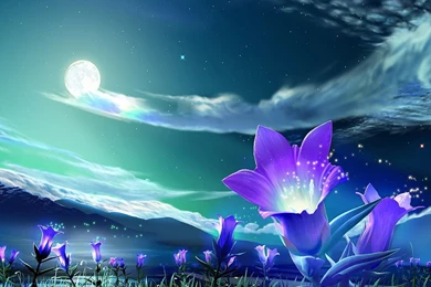 Computer Graphics Art Wallpapers, Graphics Art Wallpapers 86 ...