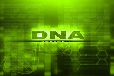 Green Text Dna Computer Graphics Wallpapers