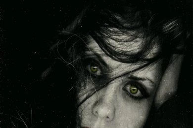 Breathing_wall 134626.jpeg