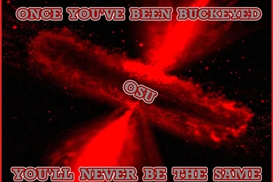 ONCE YOU;VE BEEN BUCKEYED   Ohio State Buckeyes Wallpapers ...